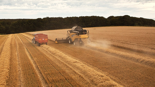 Barley Environmental Sustainability