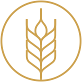Barley Icon