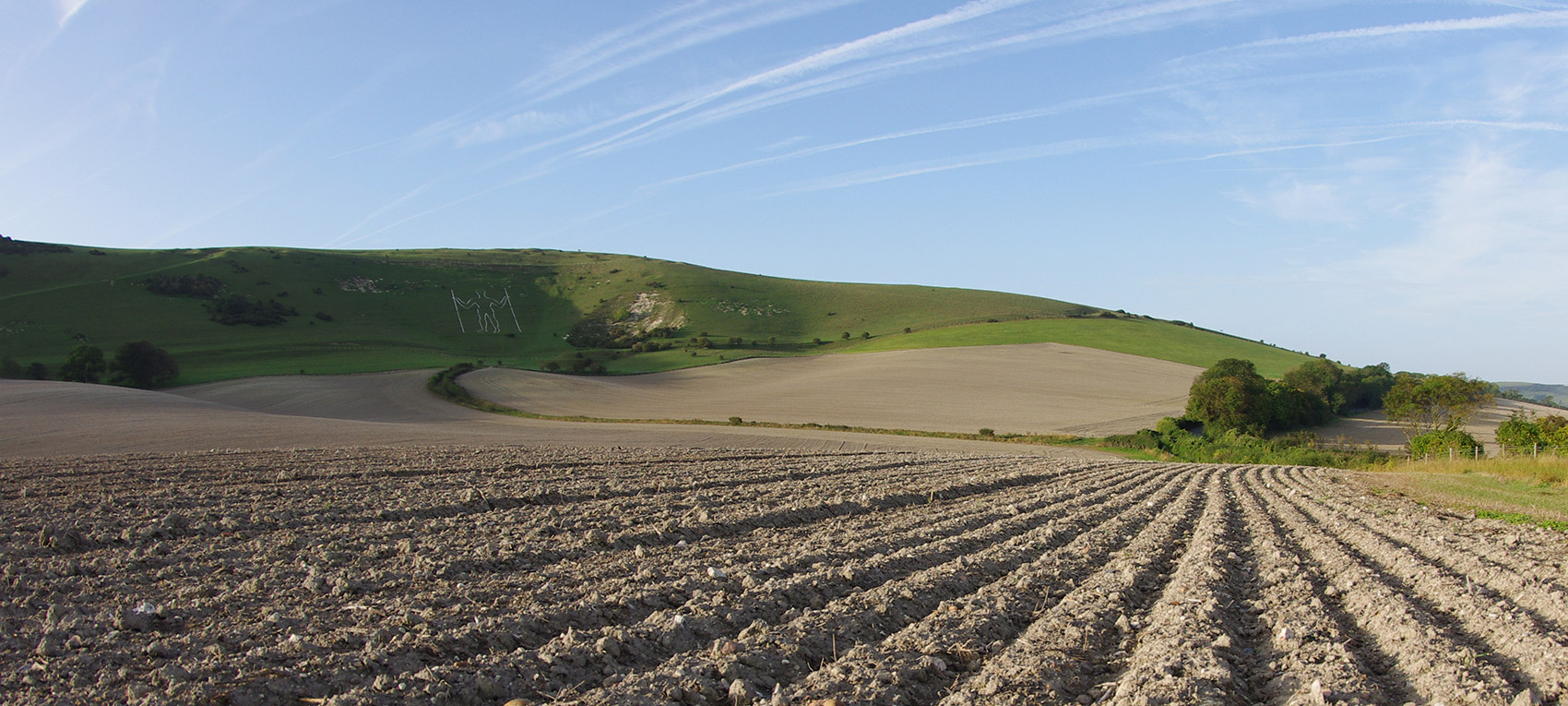 The Long Man - Fields